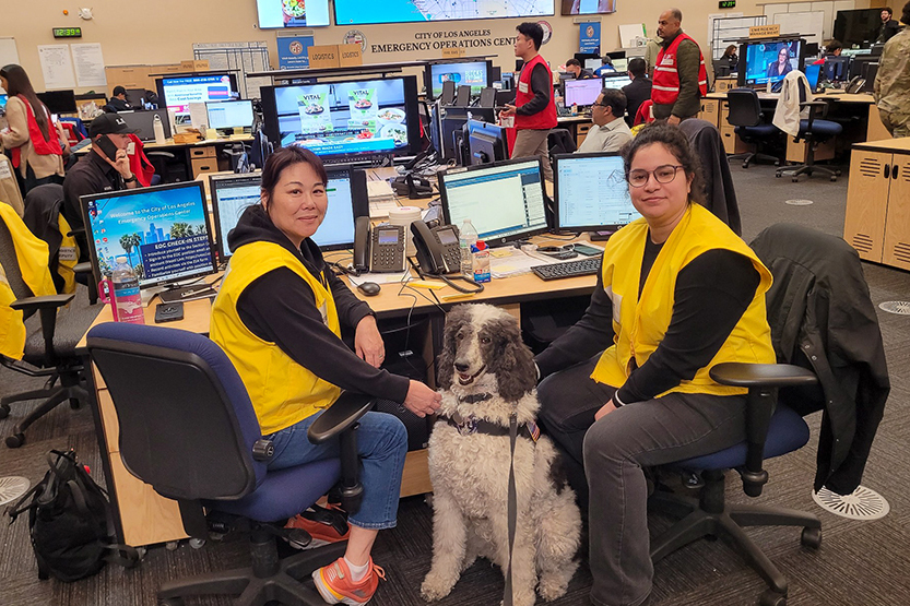 LAJH Certified Therapy Dog Ella visited the Fire Disaster Center